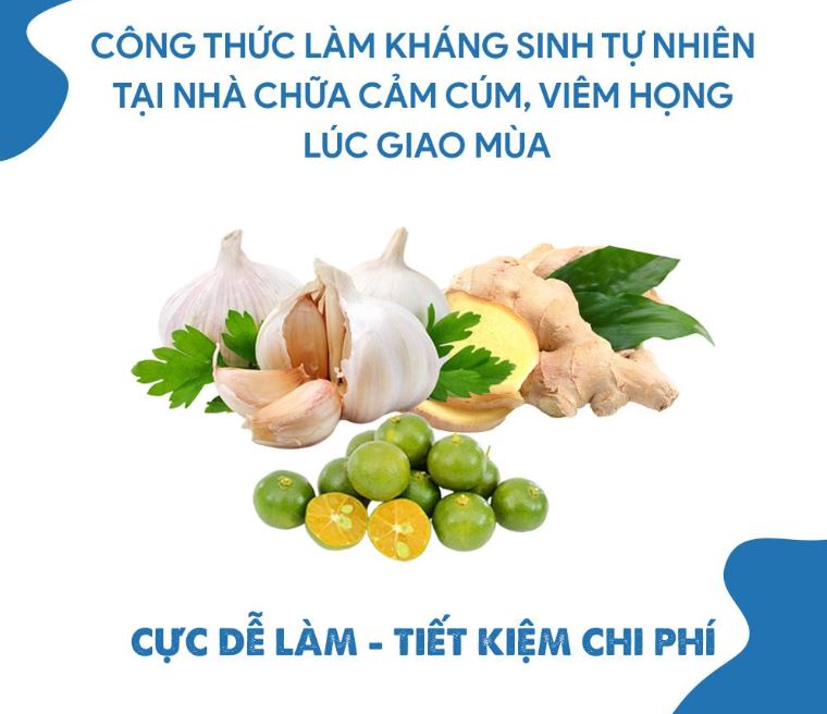 cong-thuc-lam-khang-sinh